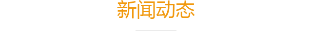 新闻动态